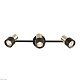 спот citilux sat cl505631