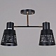 потолочный светильник reluce 06074-3.3-02 bk+fg
