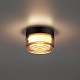 настенно-потолочный светильник odeon light hightech ronda 7158/6cl