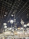 подвесная люстра mw-light экстраваганза 701011008