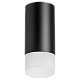 накладной светильник lightstar rullo r43731 (214437+202431)