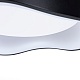 потолочный светильник arte lamp ankaa a3085pl-48bk