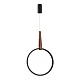 подвесная люстра st luce shape sl6131.403.20