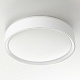 потолочный светильник citilux boss cl751250g