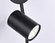 настенный светильник ambrella light linetech fl66389
