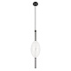подвесной светодиодный светильник loft it venice 10223/e white