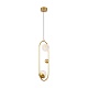 подвесной светильник freya planetary fr6081pl-l10g