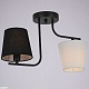 потолочный светильник illumico il8134-2cou-79 bk beti