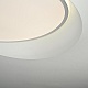 потолочный светильник imperiumloft shell 102036-26