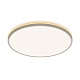 потолочный светильник citilux norma cl748500