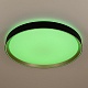 потолочный светильник citilux boss cl751451g