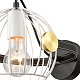 бра vele luce pasquale vl6251w01