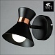 спот arte lamp baltimore a1406ap-1bk