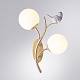 бра arte lamp camomilla a9712ap-2sg