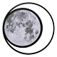 потолочный светильник loft it luna 10217