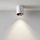 накладной светильник maytoni alfa led c064cl-12w4k-rd-wb
