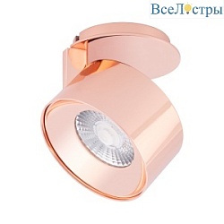Точечный светильник Arlight Plurio-Lamp-R77-9W Day4000 030257