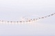 светодиодная лента designled dsg260-12-nw-33 001491