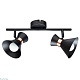 спот arte lamp baltimore a1406ap-2bk