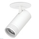 встраиваемый светильник 20-55g с адаптером lightstar canno pro c4306rs