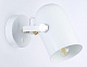 спот ambrella light traditional tr8202