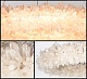 подвесная люстра delight collection stone light brch9119-80