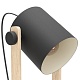 торшер eglo hornwood 43521