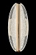 бра irene le7900/1w gold