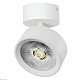 накладной светильникalta pro lightstar a5636so