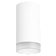 накладной светильник lightstar rullo r4363437 (214436+203437)