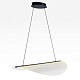 подвесной светильник citilux skatt cl213131