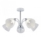люстра на штанге arte milano napoli 326008/5 wh+cr
