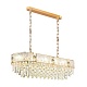 подвесная люстра odeon light fiesta 5070/14