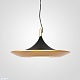 подвесной светильник imperiumloft rask 309065-26