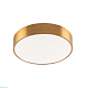 потолочный светильник zortes tortty zrs.02566.48