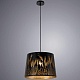 подвесной светильник arte lamp celesta a2700sp-1bk