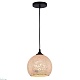 подвесной светильник arte lamp spumante a8073sp-1bk