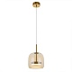 подвесной светильник myfar charlie mr2132-1pl