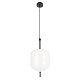 подвесной светодиодный светильник loft it venice 10223/d white