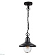 уличный подвесной светильник odeon light nature campa 4965/1