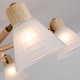 потолочная люстра arte lamp meleph a4096pl-5br