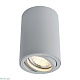 потолочный светильник arte lamp a1560pl-1gy