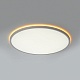 потолочный светильник citilux norma cl749500