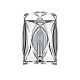 настенный светильник vele luce angela vl3153w01