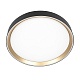 потолочный светильник citilux boss cl751351g