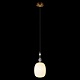 подвесной светильник loft it family 10365/f