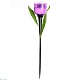 светильник на солнечных батареях uniel promo usl-c-453/pt305 purple tulip ul-00004278