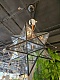 подвесная люстра imperium loft black star 189644-26