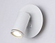 спот ambrella light wall fw2462