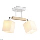 спот ambrella light traditional tr9511